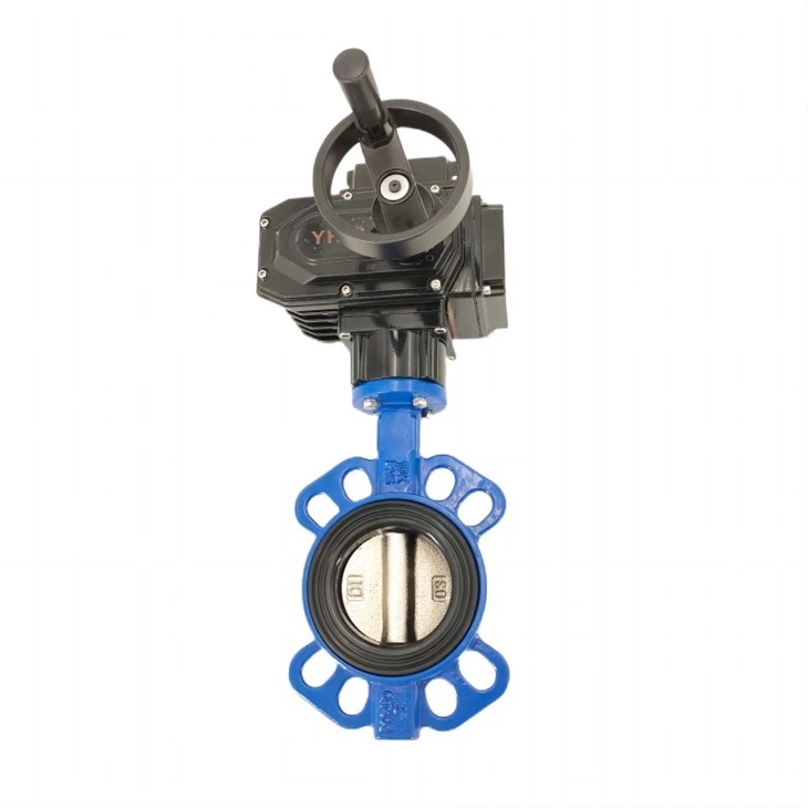 Motorizirani aktuator z loputo